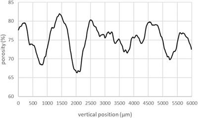 Characterization of a Geopolymer Foam by X-ray Tomography